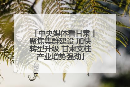 中央媒体看甘肃丨聚焦集群建设 加快转型升级 甘肃支柱产业增势强劲