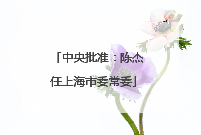 中央批准：陈杰任上海市委常委