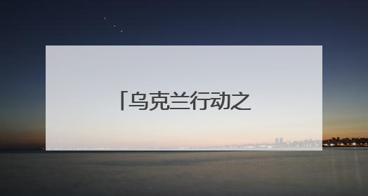 乌克兰行动之后：特朗普沉默 美特使警告