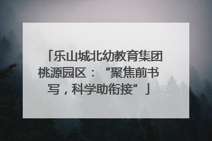 乐山城北幼教育集团桃源园区：“聚焦前书写，科学助衔接”