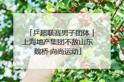 乒超联赛男子团体｜上海地产集团不敌山东魏桥·向尚运动