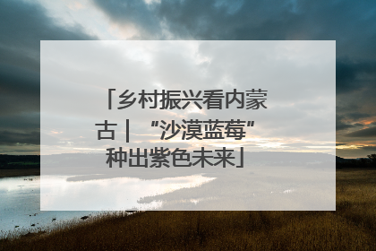 乡村振兴看内蒙古｜“沙漠蓝莓”种出紫色未来