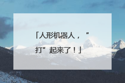 人形机器人，“打”起来了！
