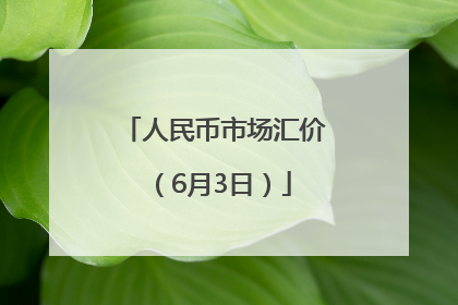 人民币市场汇价（6月3日）