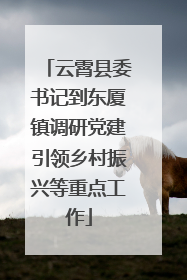 云霄县委书记到东厦镇调研党建引领乡村振兴等重点工作