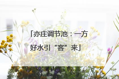 亦庄调节池：一方好水引“客”来
