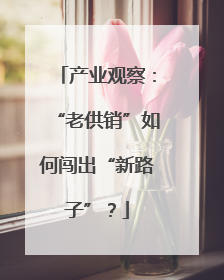 产业观察：“老供销”如何闯出“新路子”？
