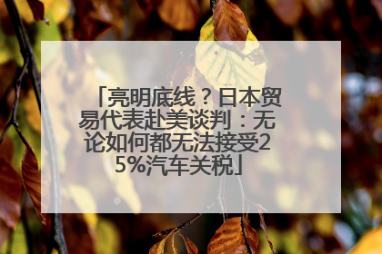 亮明底线？日本贸易代表赴美谈判：无论如何都无法接受25%汽车关税