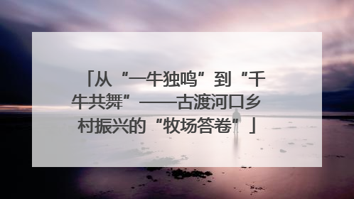 从“一牛独鸣”到“千牛共舞”——古渡河口乡村振兴的“牧场答卷”