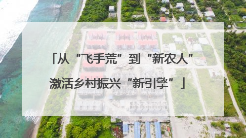 从“飞手荒”到“新农人” 激活乡村振兴“新引擎”