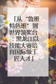 从“鲁班特色班”到世界领奖台：黑龙江以技能大赛培育国际级工匠人才