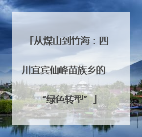 从煤山到竹海：四川宜宾仙峰苗族乡的“绿色转型”