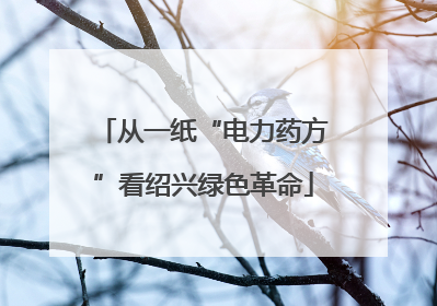 从一纸“电力药方”看绍兴绿色革命