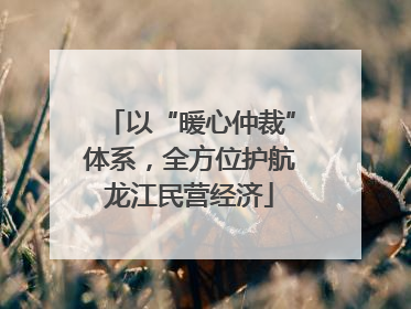 以“暖心仲裁”体系，全方位护航龙江民营经济