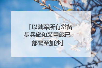 以陆军所有常备步兵旅和装甲旅已部署至加沙