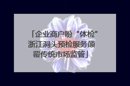企业商户盼“体检” 浙江洞头预检服务颠覆传统市场监管