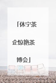 休宁茶企惊艳茶博会