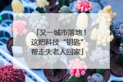 又一城市落地！这把科技“钥匙”帮走失老人回家