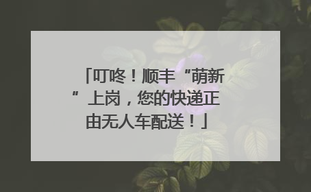 叮咚！顺丰“萌新”上岗，您的快递正由无人车配送！