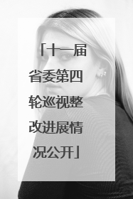 十一届省委第四轮巡视整改进展情况公开