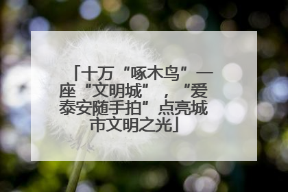十万“啄木鸟”一座“文明城”，“爱泰安随手拍”点亮城市文明之光