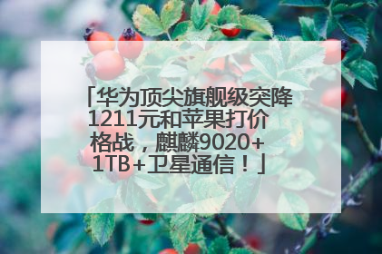 华为顶尖旗舰级突降1211元和苹果打价格战，麒麟9020+1TB+卫星通信！