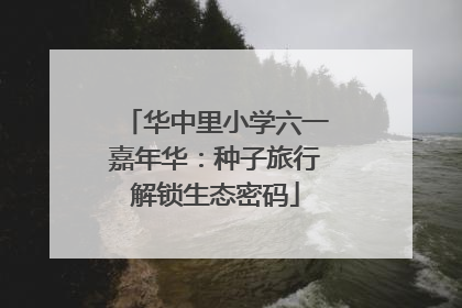 华中里小学六一嘉年华：种子旅行解锁生态密码
