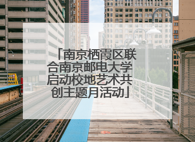 南京栖霞区联合南京邮电大学启动校地艺术共创主题月活动