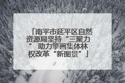 南平市延平区自然资源局坚持“三聚力” 助力擎画集体林权改革“新图景”