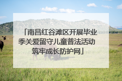 南昌红谷滩区开展毕业季关爱留守儿童普法活动 筑牢成长防护网