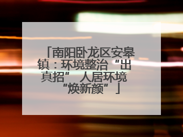 南阳卧龙区安皋镇：环境整治“出真招” 人居环境“焕新颜”