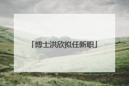 博士洪欣拟任新职