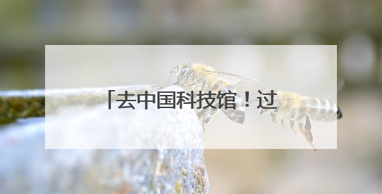 去中国科技馆！过科学味六一端午