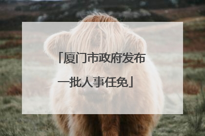 厦门市政府发布一批人事任免