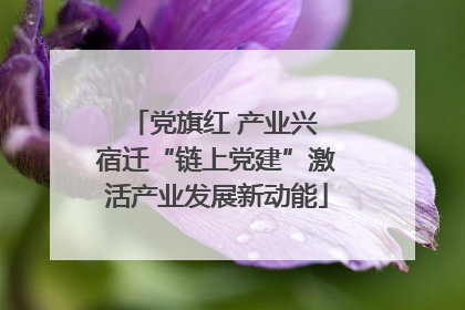 党旗红 产业兴 宿迁“链上党建”激活产业发展新动能