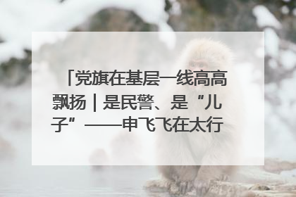 党旗在基层一线高高飘扬｜是民警、是“儿子”——申飞飞在太行山中的一线坚守