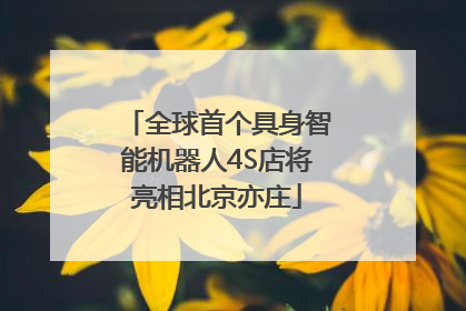 全球首个具身智能机器人4S店将亮相北京亦庄