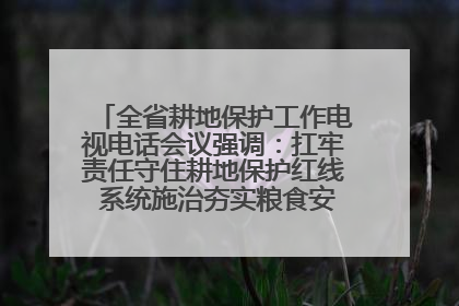 全省耕地保护工作电视电话会议强调：扛牢责任守住耕地保护红线 系统施治夯实粮食安全根基 王宁作出批示 王予波出席并讲话