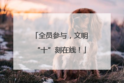 全员参与，文明“十”刻在线！