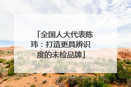 全国人大代表陈玮：打造更具辨识度的未检品牌