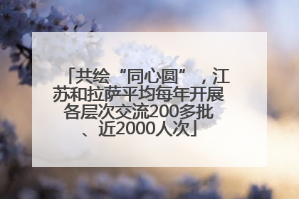 共绘“同心圆”，江苏和拉萨平均每年开展各层次交流200多批、近2000人次