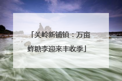 关岭新铺镇：万亩蜂糖李迎来丰收季