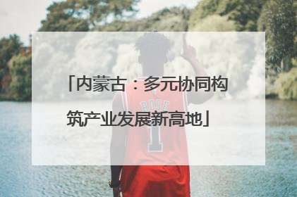 内蒙古：多元协同构筑产业发展新高地