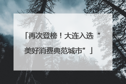 再次登榜！大连入选“美好消费典范城市”