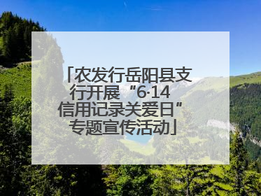 农发行岳阳县支行开展“6·14信用记录关爱日” 专题宣传活动