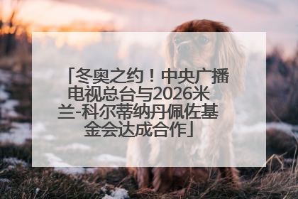 冬奥之约！中央广播电视总台与2026米兰-科尔蒂纳丹佩佐基金会达成合作