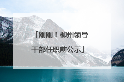 刚刚！柳州领导干部任职前公示
