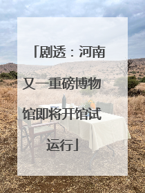 剧透：河南又一重磅博物馆即将开馆试运行
