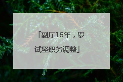 副厅16年，罗试坚职务调整