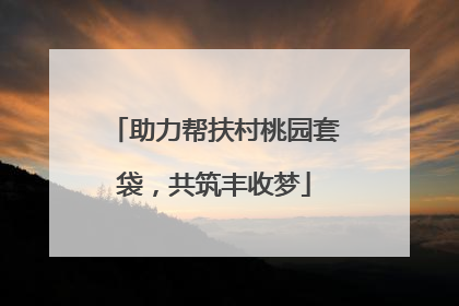 助力帮扶村桃园套袋，共筑丰收梦